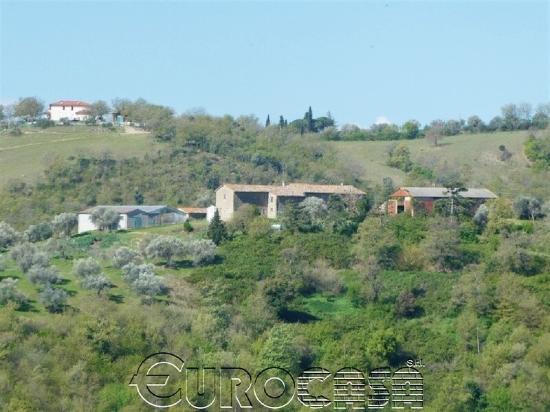 PASSIGNANO S.TRASIMENO. Azienda di 110 ha PASSIGNANO S.TRASIMENO. Azienda di 110 ha