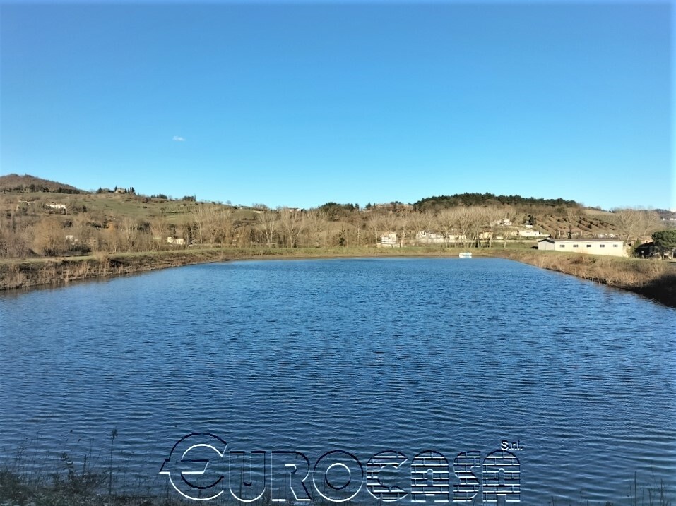 TRESTINA. Azienda con terreni irrigui, casale e capannoni