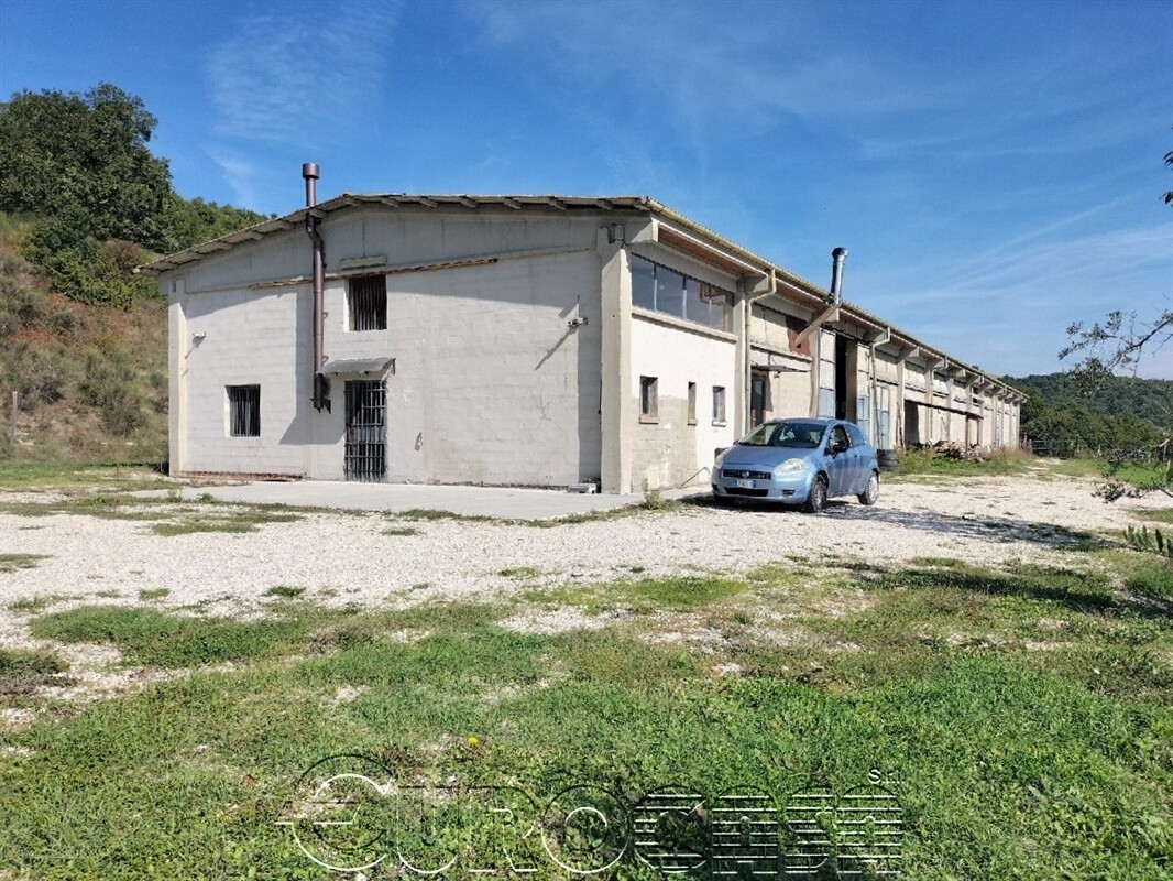 CITTA' DI CASTELLO. Azienda agricola venatoria di 180 ha CITTA' DI CASTELLO. Azienda agricola venatoria di 180 ha
