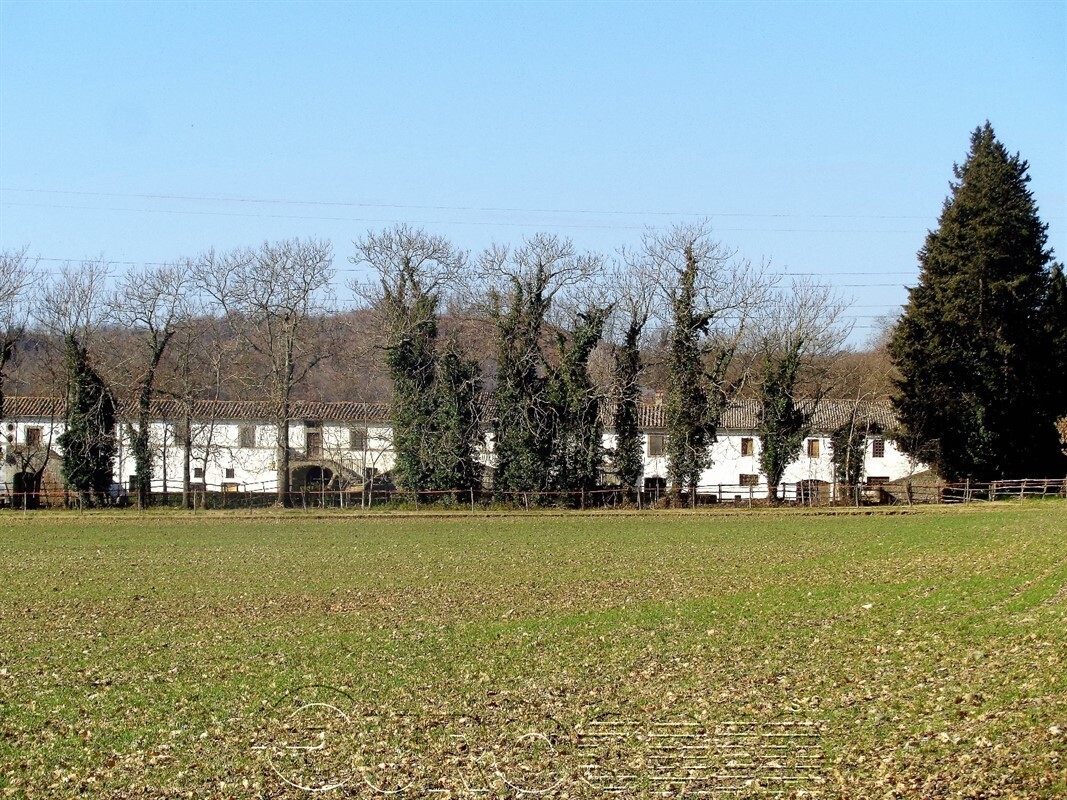 SIENA. Azienda di 400 ha con borgo e capannone di 10.000 mq.