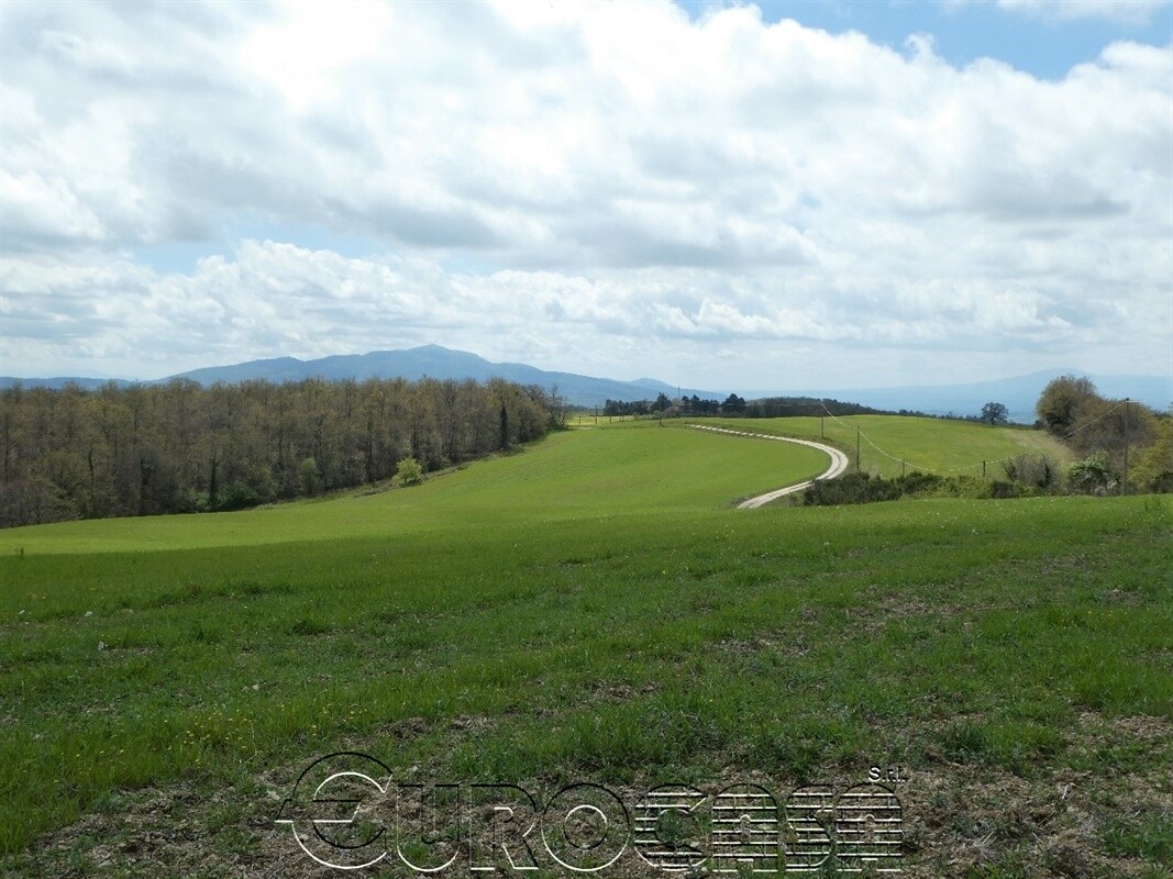 ORVIETO. Azienda agricola con oltre 100 ha e centro aziendale.
