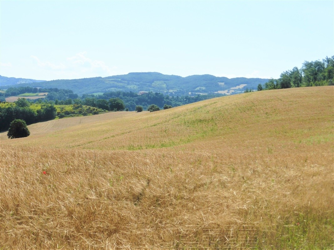 VALFABBRICA. Azienda di 60 ha con casale e 2 capannoni VALFABBRICA. Azienda di 60 ha con casale e 2 capannoni