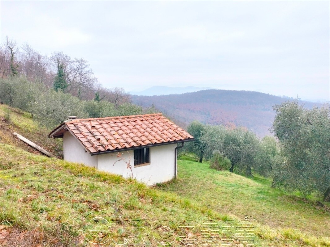 PETRELLE. Annesso con oliveto e bosco PETRELLE. Annesso con oliveto e bosco