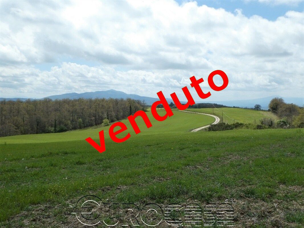 ORVIETO. Azienda agricola con oltre 100 ha e centro aziendale.