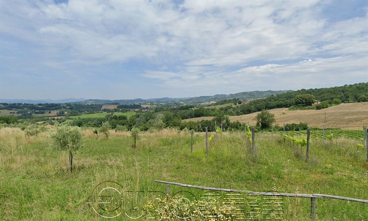 UMBERTIDE. 5 ettari di terreno con oliveto e vigna UMBERTIDE. 5 ettari di terreno con oliveto e vigna