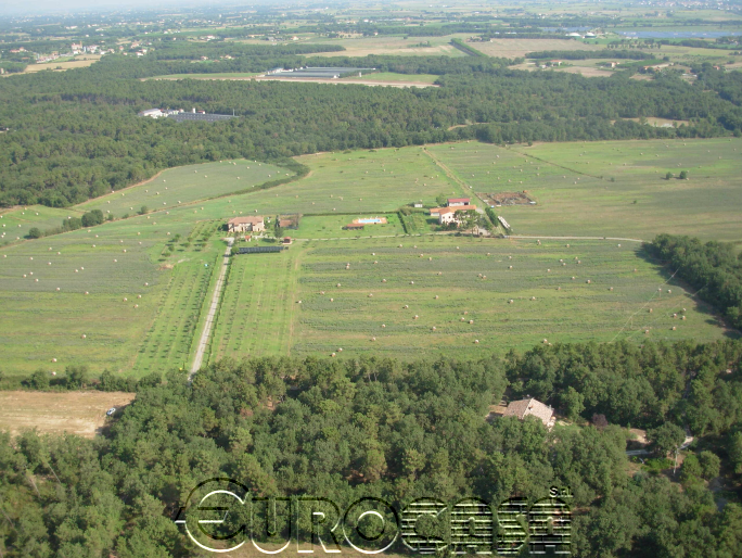 CASTIGLIONE DEL LAGO. Azienda agrituristica di 73 ettari CASTIGLIONE DEL LAGO. Azienda agrituristica di 73 ettari
