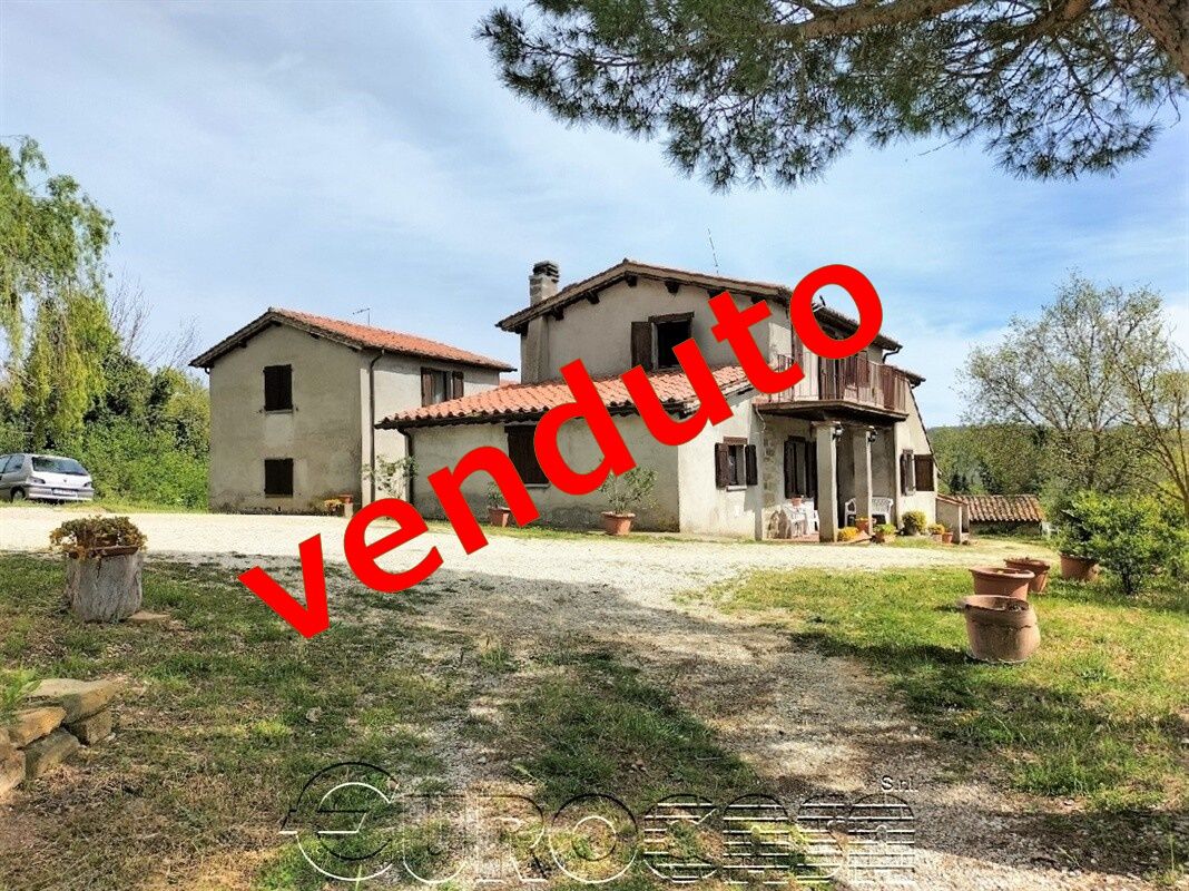 UMBERTIDE. Borgo rustico con 5 abitazioni, capannone, oliveto e vigneto