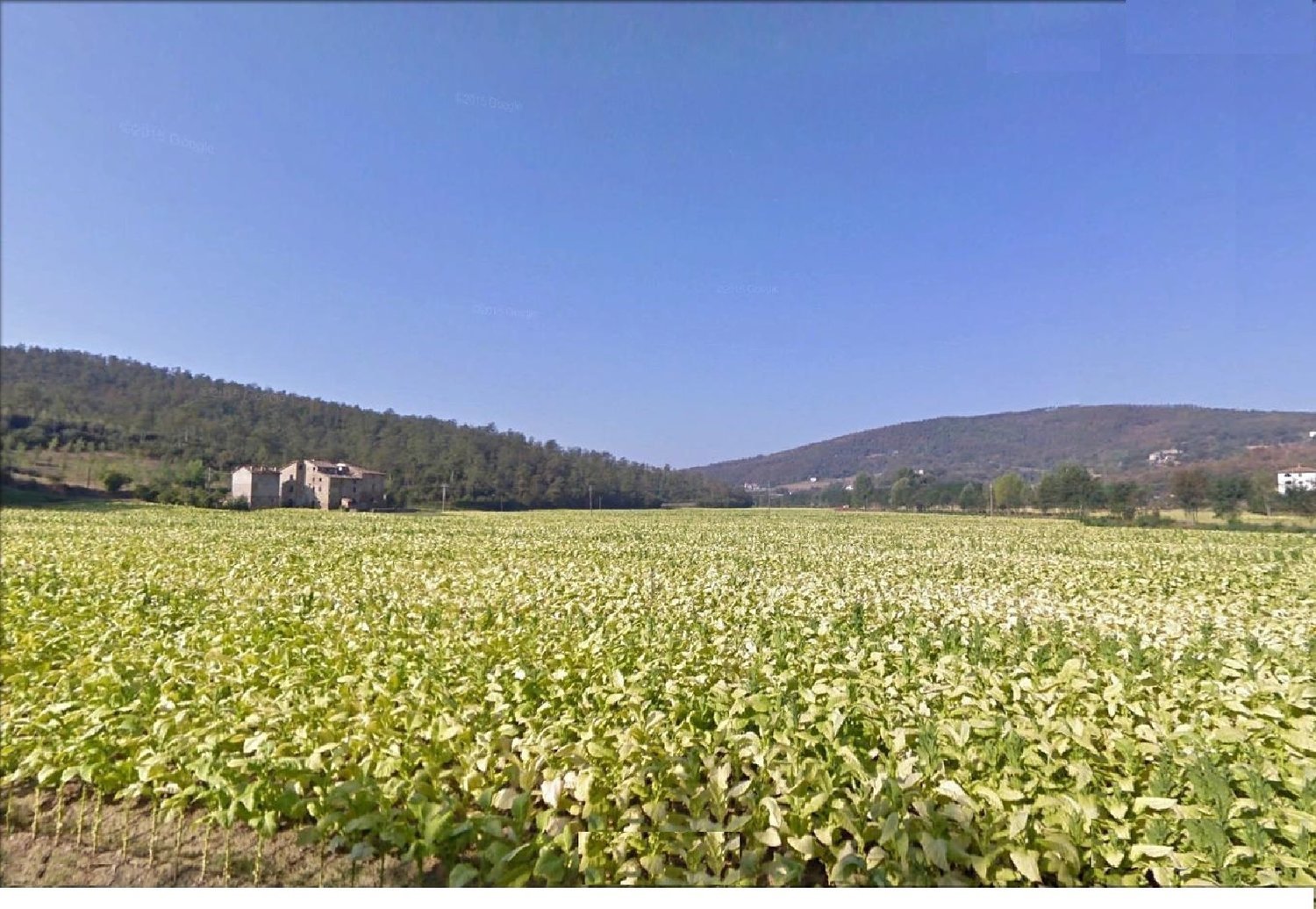 CITTA' DI CASTELLO. Azienda agraria con 47 ha e due casali CITTA' DI CASTELLO. Azienda agraria con 47 ha e due casali