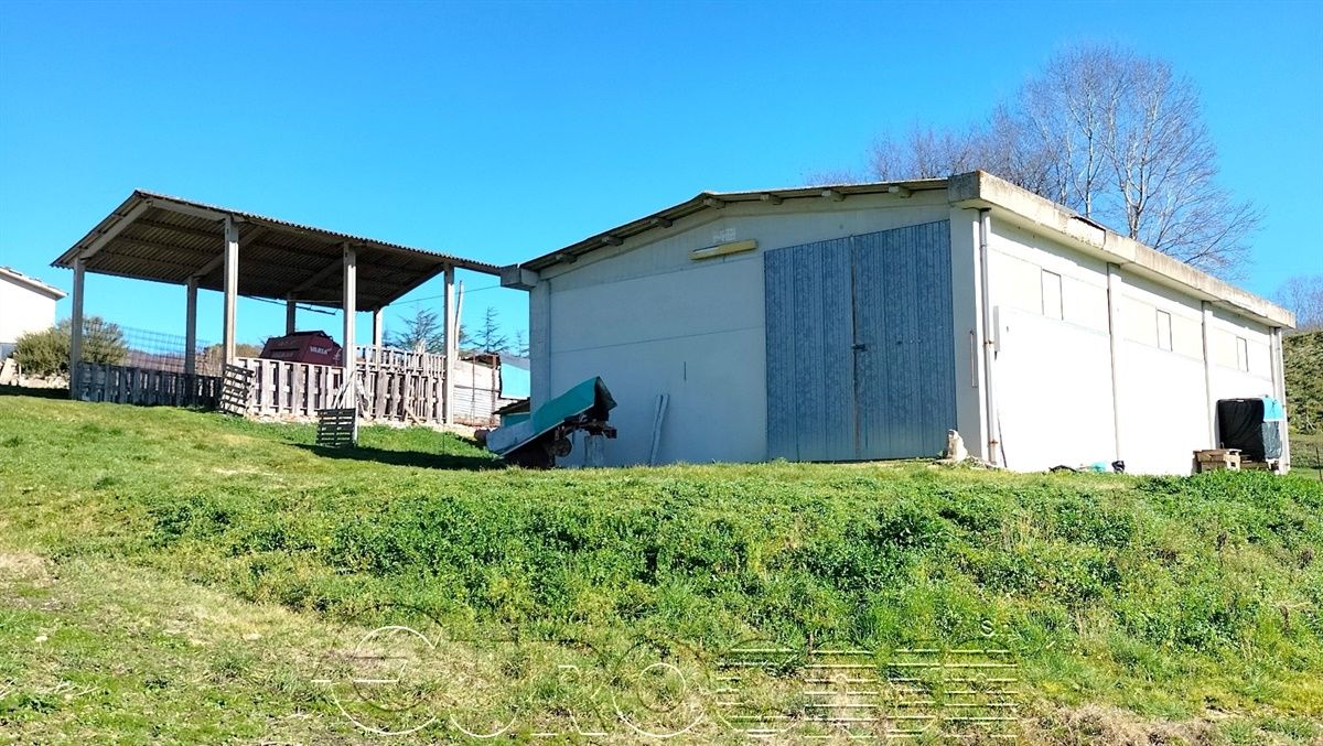 MONTONE. Terreno di oltre 5 ettari con capannoni ed annessi vari