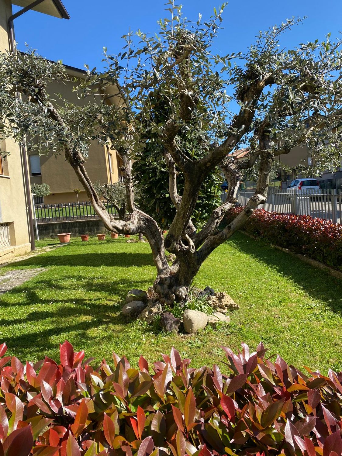 PROMANO. Appartamento di 120 mq in quadrifamiliare PROMANO. Appartamento di 120 mq in quadrifamiliare