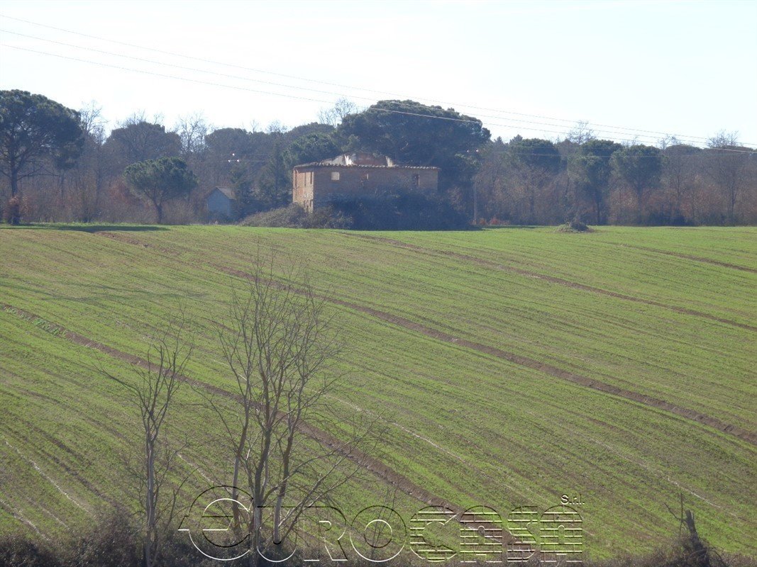 CASTIGLIONE DEL LAGO. Azienda agraria con 40 ha e casale