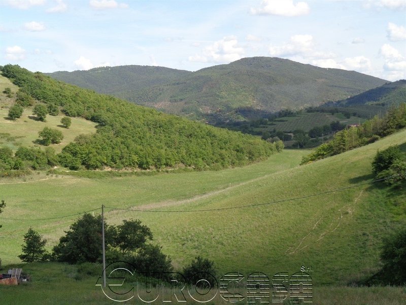PERUGIA. Azienda agraria di 50 ha con casale, capannone e caseificio PERUGIA. Azienda agraria di 50 ha con casale, capannone e caseificio