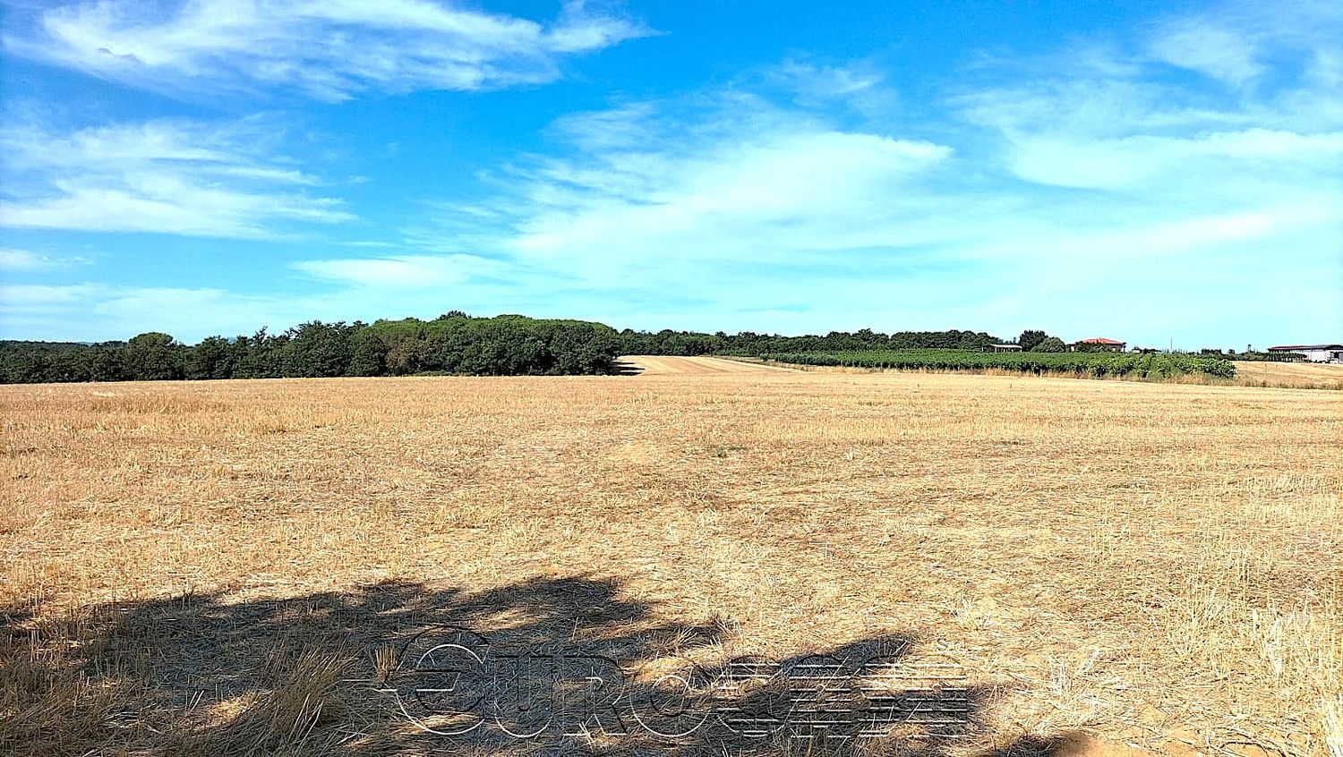 CASTIGLIONE DEL LAGO. Azienda di 21 ettari con lago privato