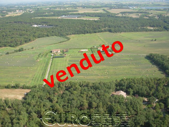 CASTIGLIONE DEL LAGO. Azienda di 70 ettari con villa e capannoni