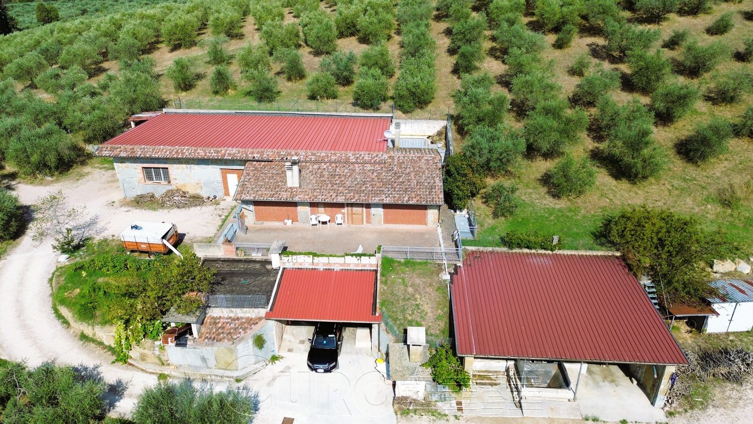 CASTIGLIONE DEL LAGO. Frantoio con 22 ha di oliveto