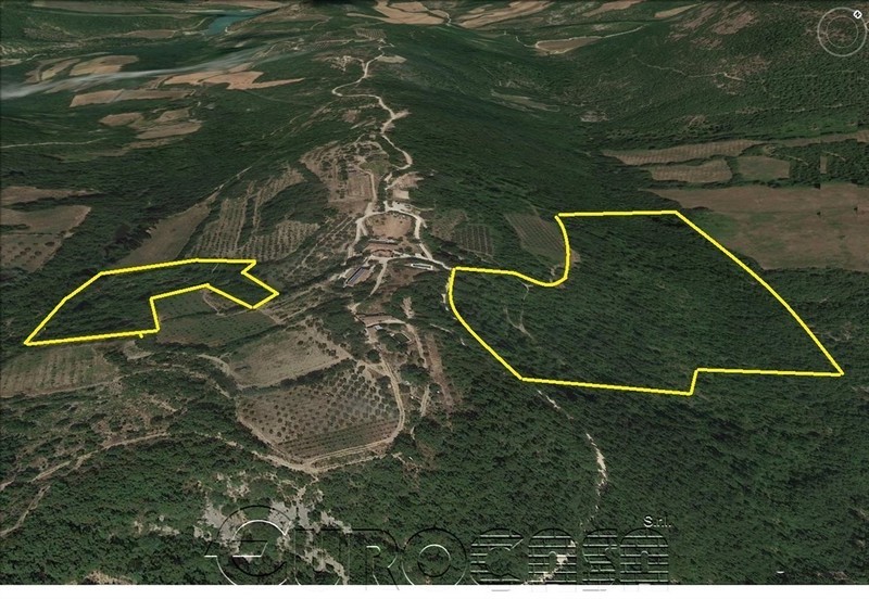 UMBERTIDE. Terreno boschivo di 18,50 ha in loc. Monestevole UMBERTIDE. Terreno boschivo di 18,50 ha in loc. Monestevole