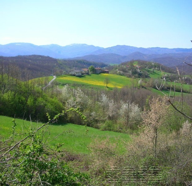MONTONE. Lotto edificabile panoramico di 1000 mq MONTONE. Lotto edificabile panoramico di 1000 mq