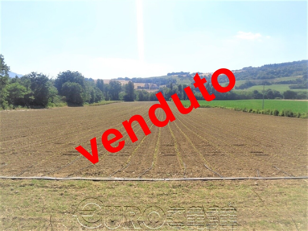 UMBERTIDE. Terreno di 22 ettari seminativo pianeggiante ed irriguo
