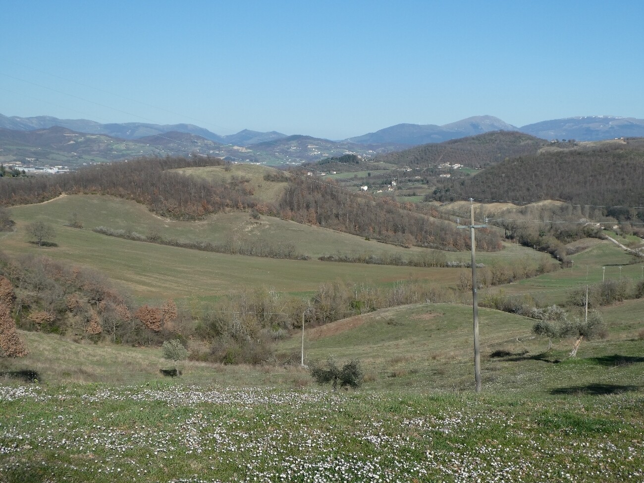 PERUGIA. Azienda di 250 ha con capannone ed immobili vari