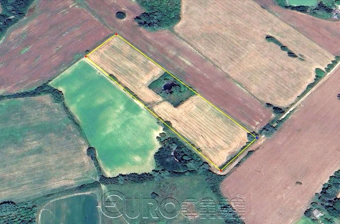 UMBERTIDE. Loc. Civitella Ranieri 2 ettari di terreno con laghetto