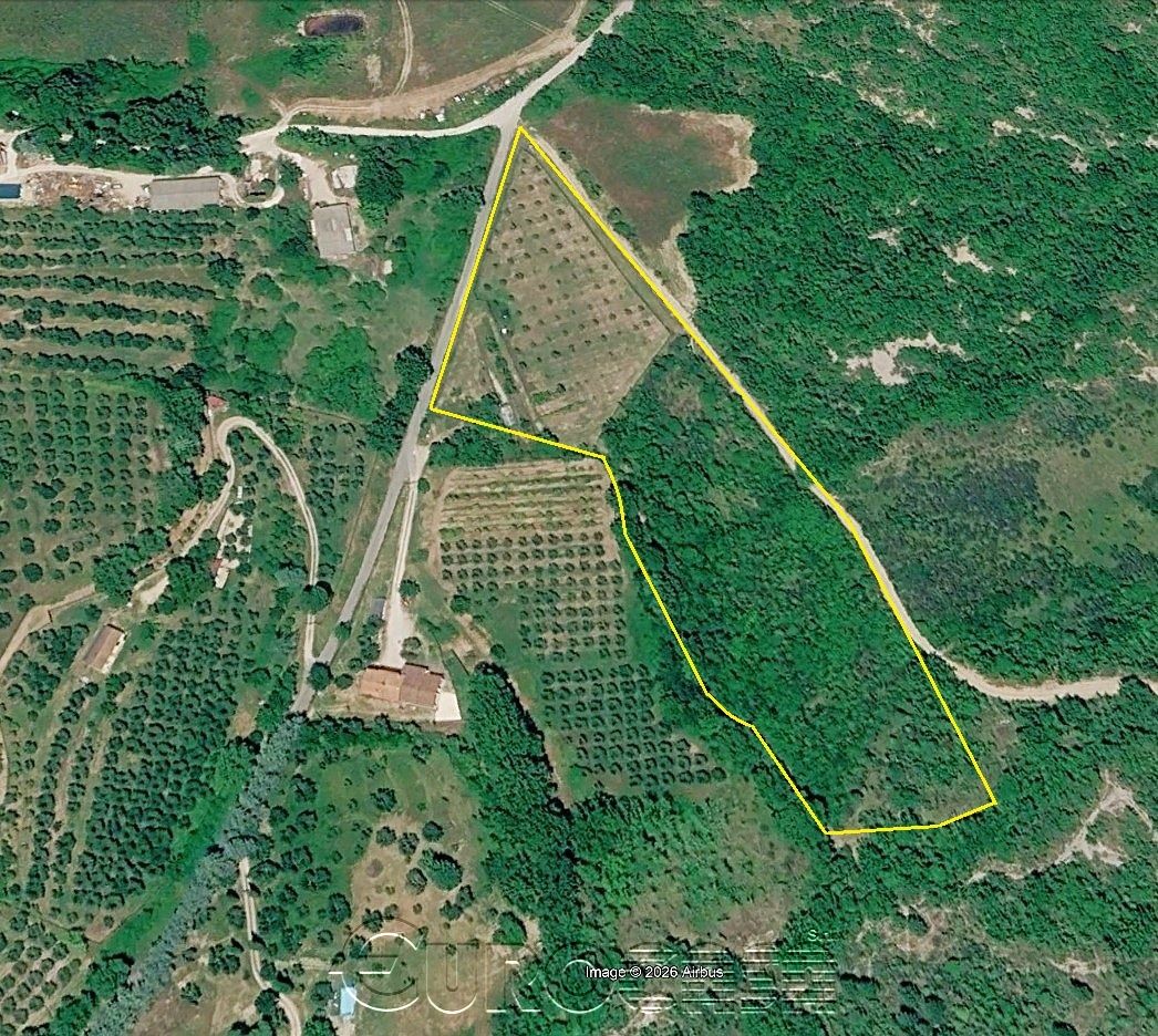 UMBERTIDE. Terreno con oliveto e bosco.