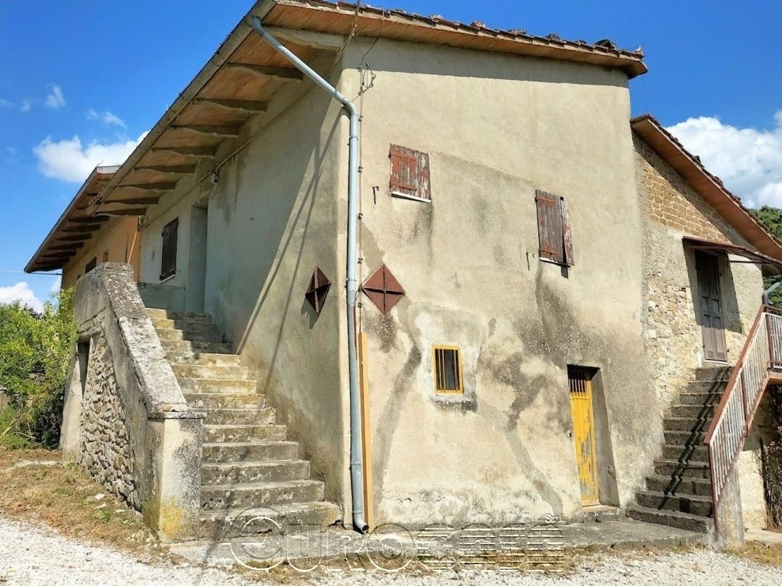 SAN BENEDETTO. Podere con casale di 250 mq e 12 ettari di terreno