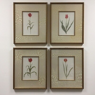 Set Of Four Framed Flower Prints Set Of Four Framed Flower Prints