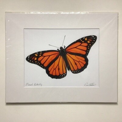 Monarch Butterfly David FitzSimmons Matted And Signed Giclee Print