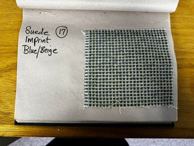 Fabric Type 17 Suede Imprint Blue/Beige