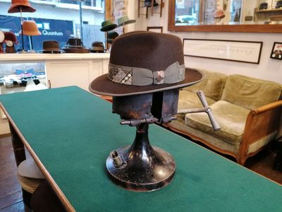 TRILBY Braun, veredelt, Größe 59 cm