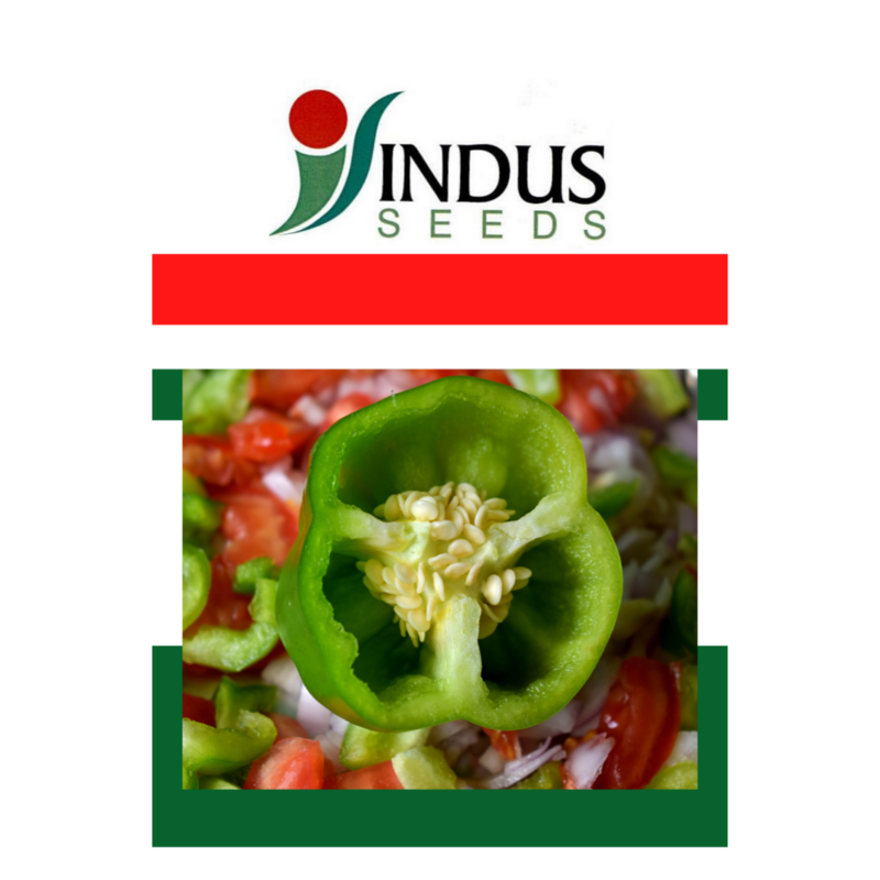 Grow Capsicum
