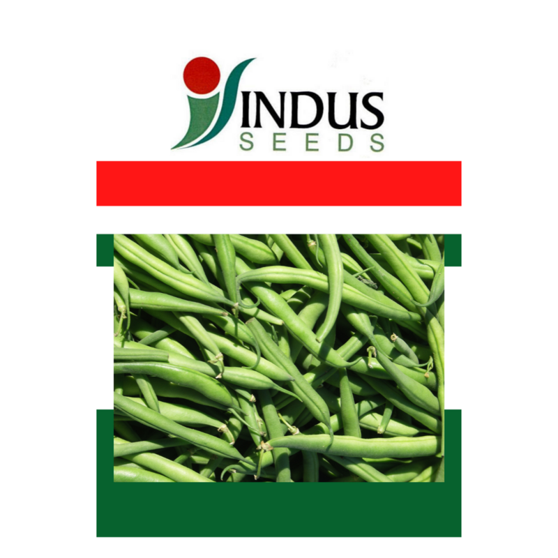 Grow Beans