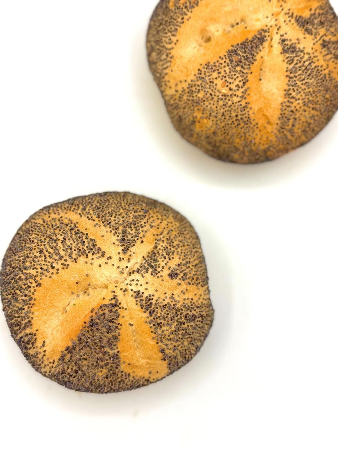 Mohnbrötchen Mohnbrötchen