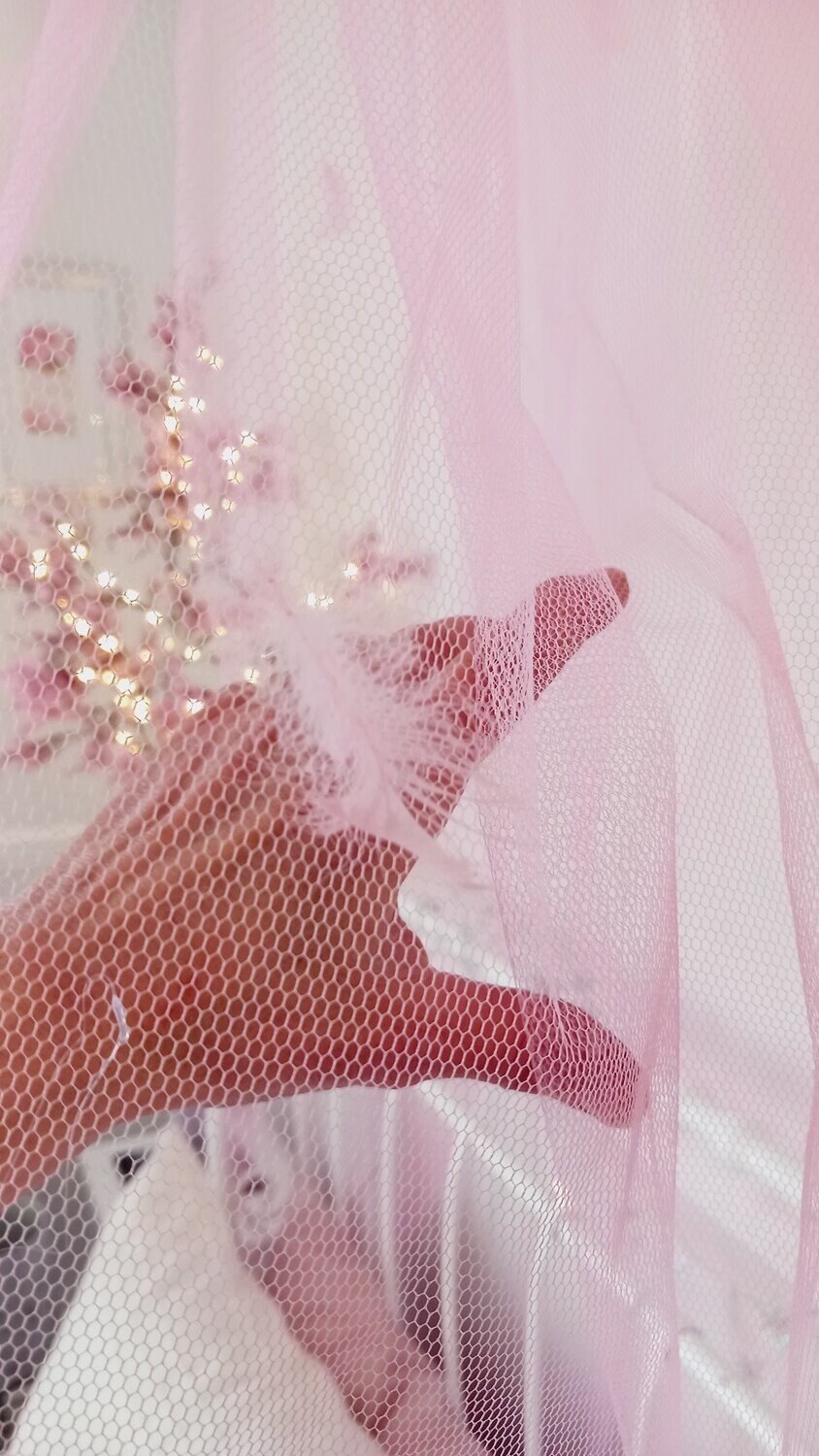 Bed canopy swan/fairy/floral