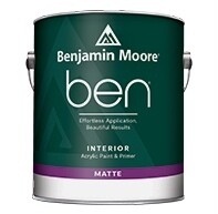 BEN Interior Matte (Easy touch up) (Staring At)