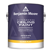 Waterborne Ceiling Paint (Staring At)