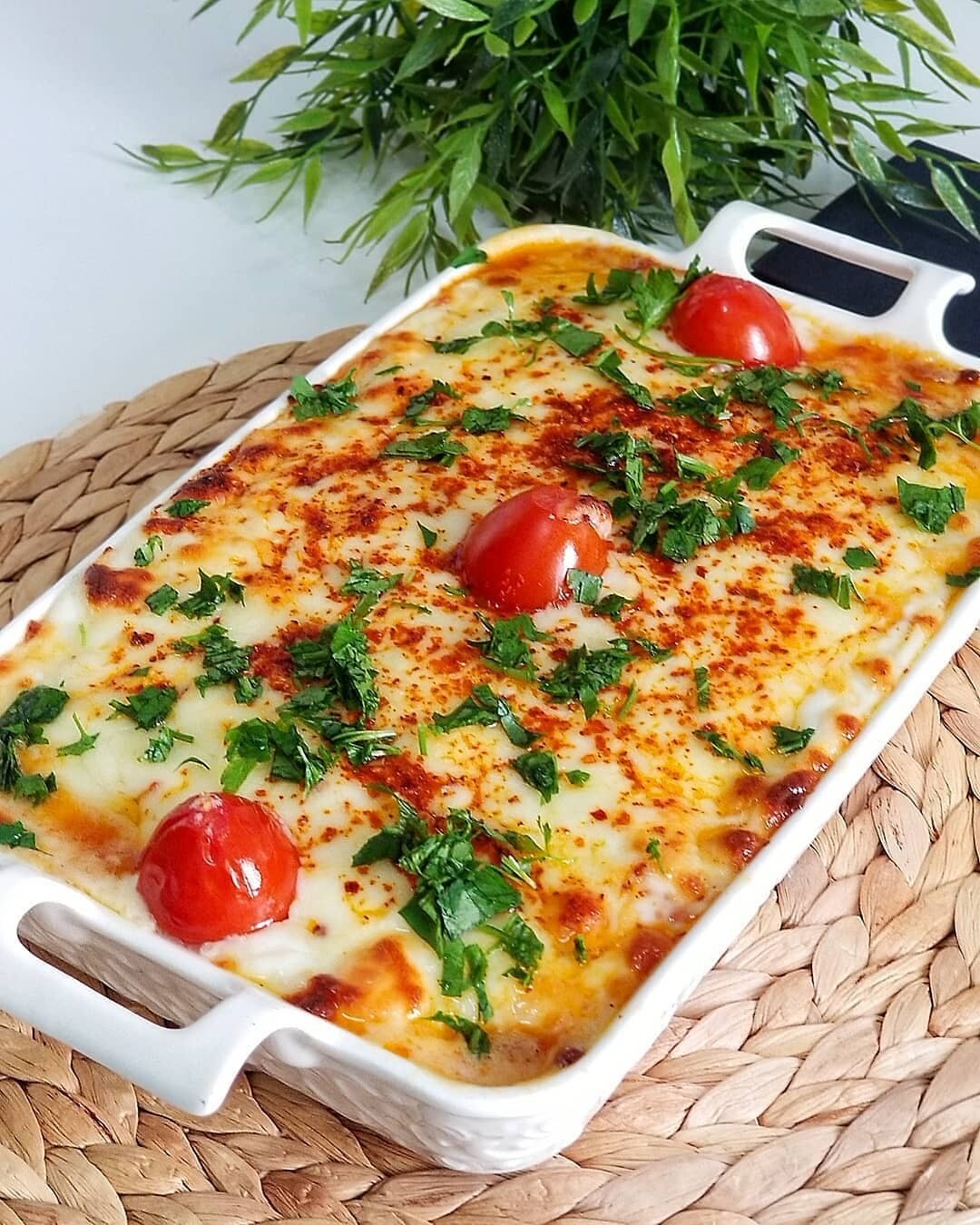 CHICKEN WITH BECHAMEL SAUCE CHICKEN WITH BECHAMEL SAUCE