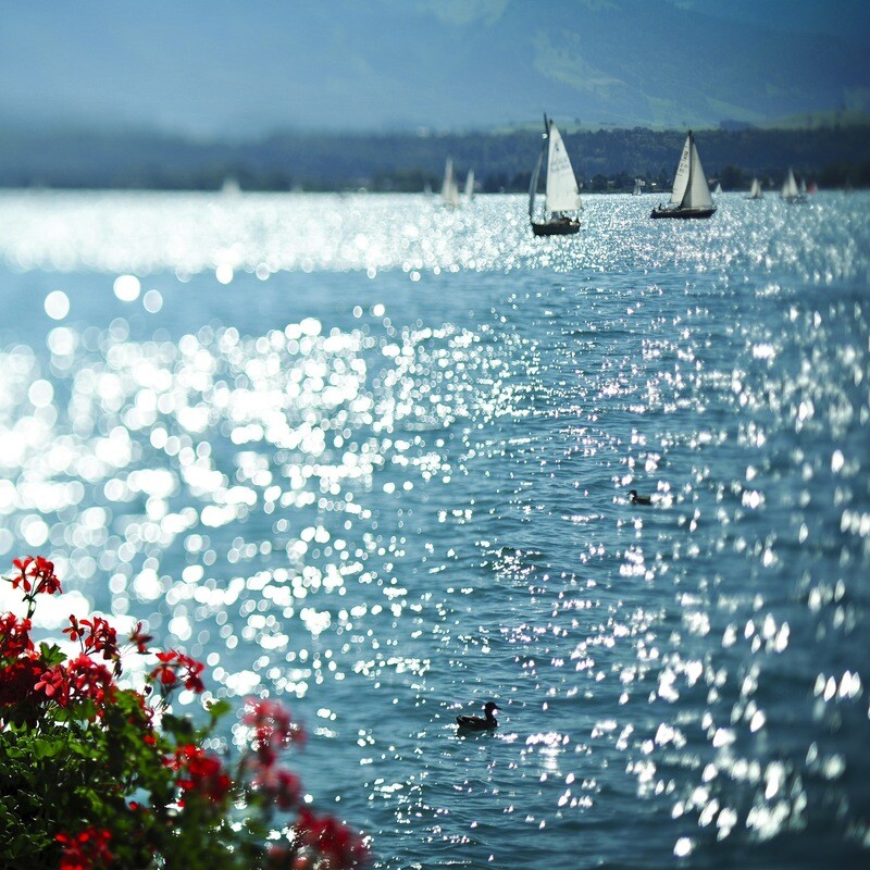 lake thun