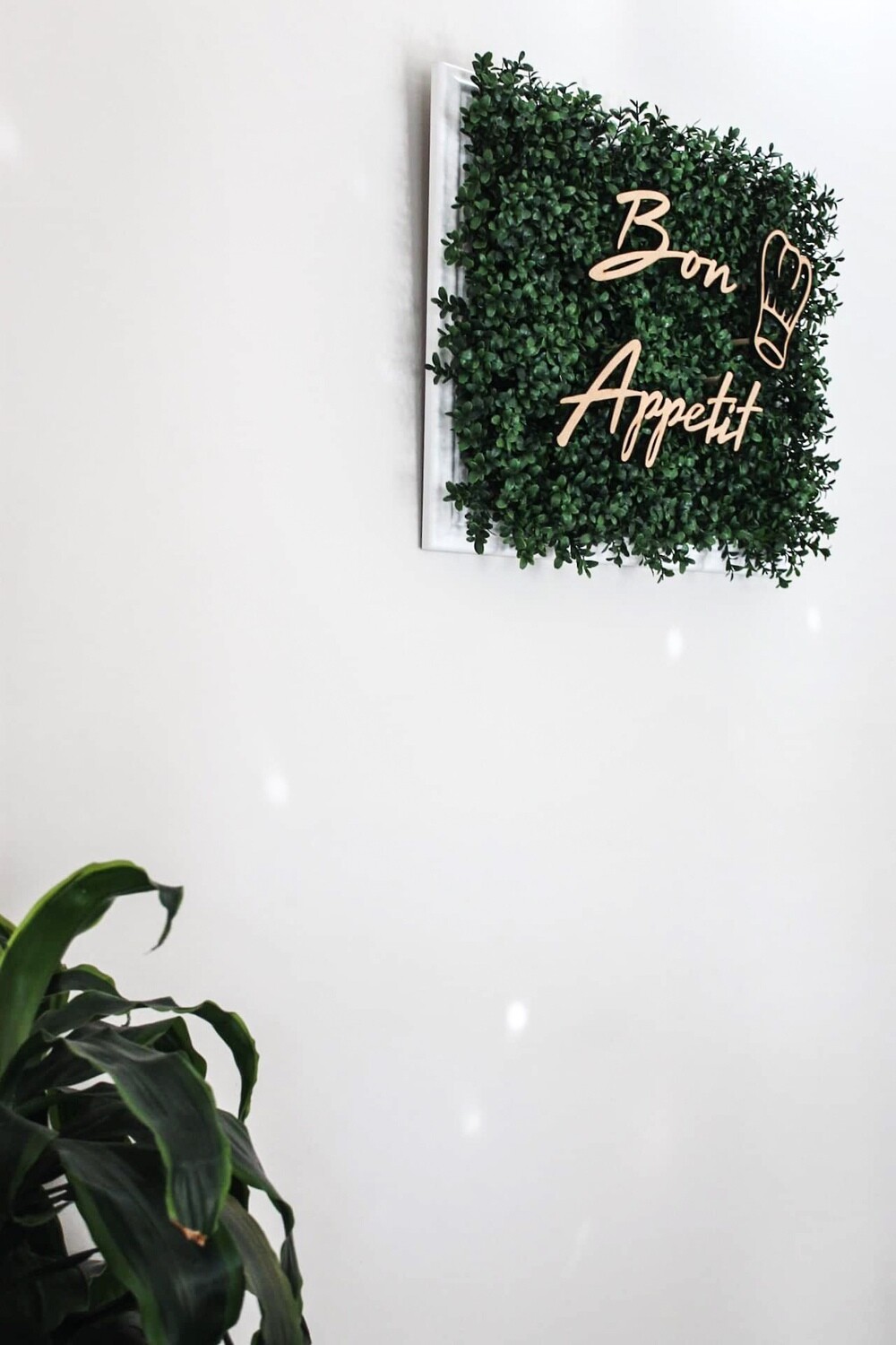 Boxwood