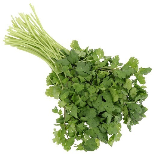 CILANTRO 1/2 AMARRO CILANTRO 1/2 AMARRO