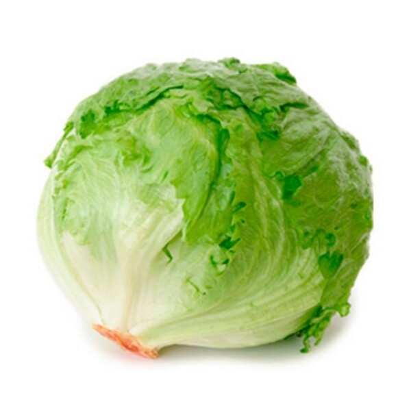 LECHUGA REPOLLADA 1 CABEZA LECHUGA REPOLLADA 1 CABEZA