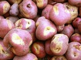 PAPA ROJA IMILLA 1 KILO PAPA ROJA IMILLA 1 KILO