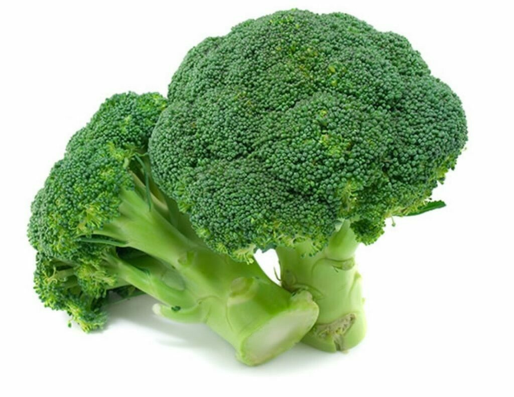 CABEZA DE BROCOLI CABEZA DE BROCOLI
