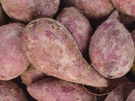 CAMOTE 1 KILO CAMOTE 1 KILO
