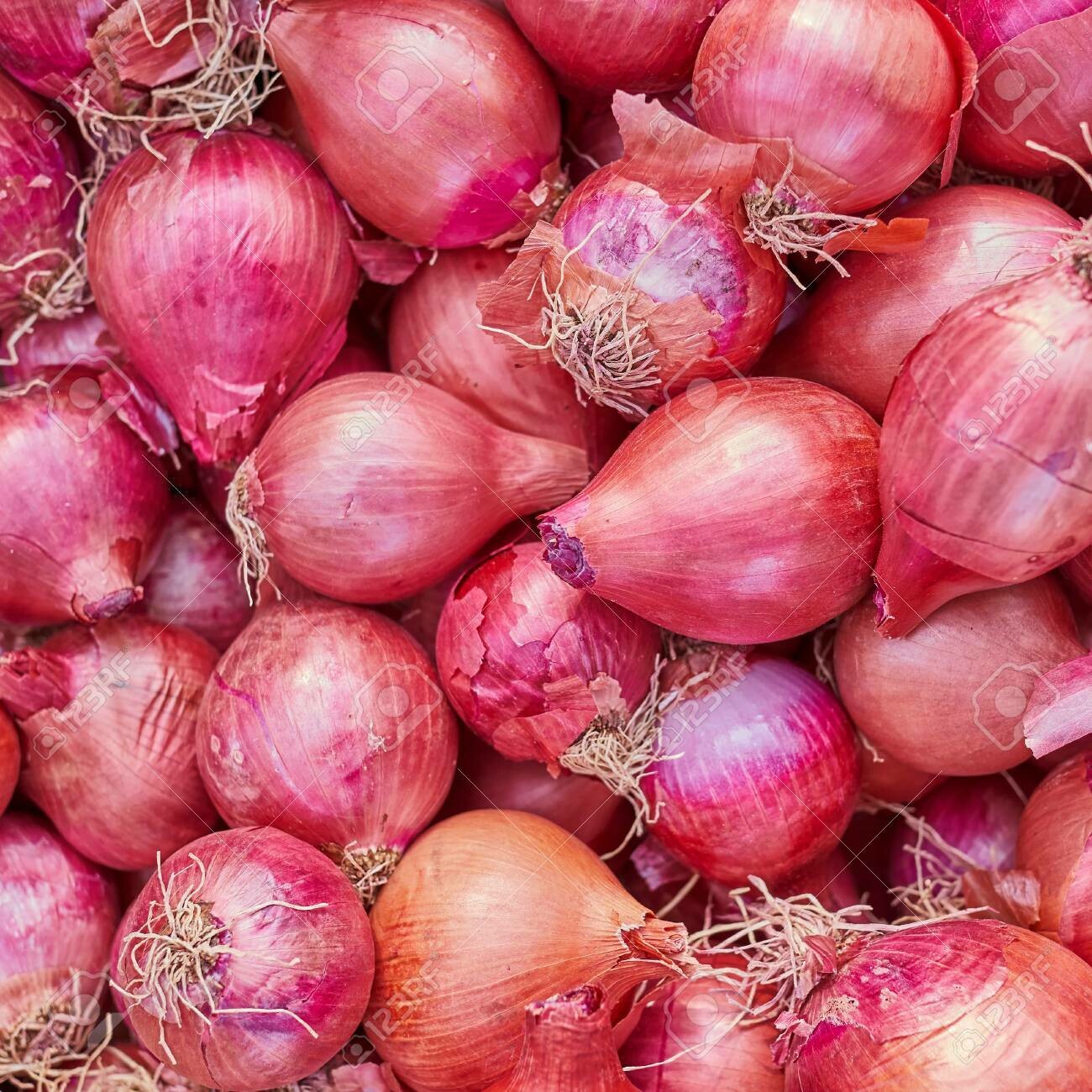 CEBOLLA ROJA 1 KILO CEBOLLA ROJA 1 KILO