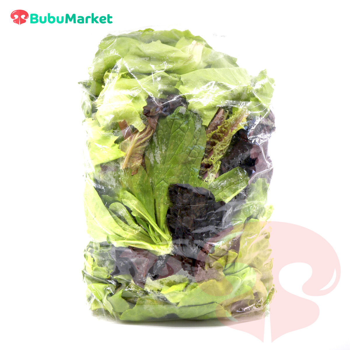 LECHUGA DE CARPA MIXTA 1 BOLSA LECHUGA DE CARPA MIXTA 1 BOLSA