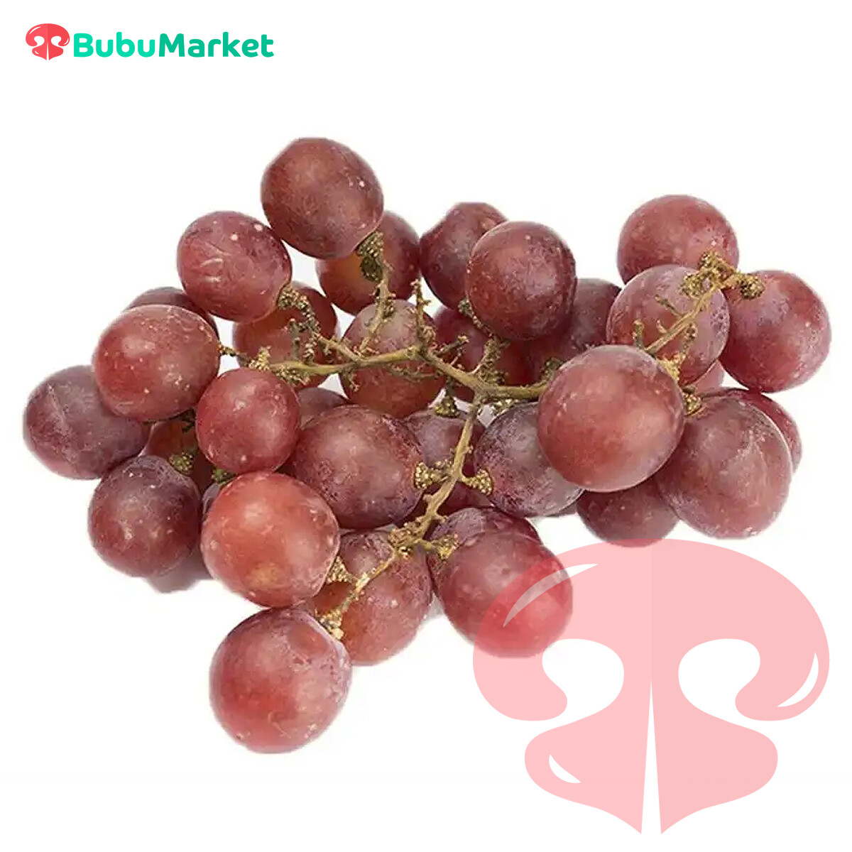 UVA NACIONAL MORADA 1 LIBRA UVA NACIONAL MORADA 1 LIBRA