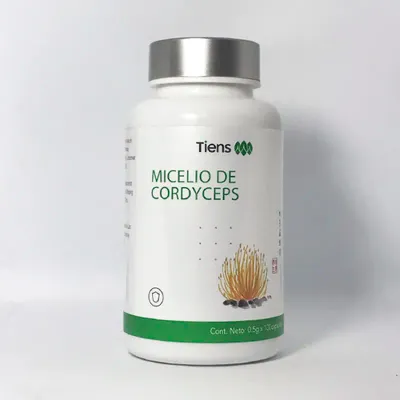 MICELIO DE CORDYCEPS DE TIANSHI