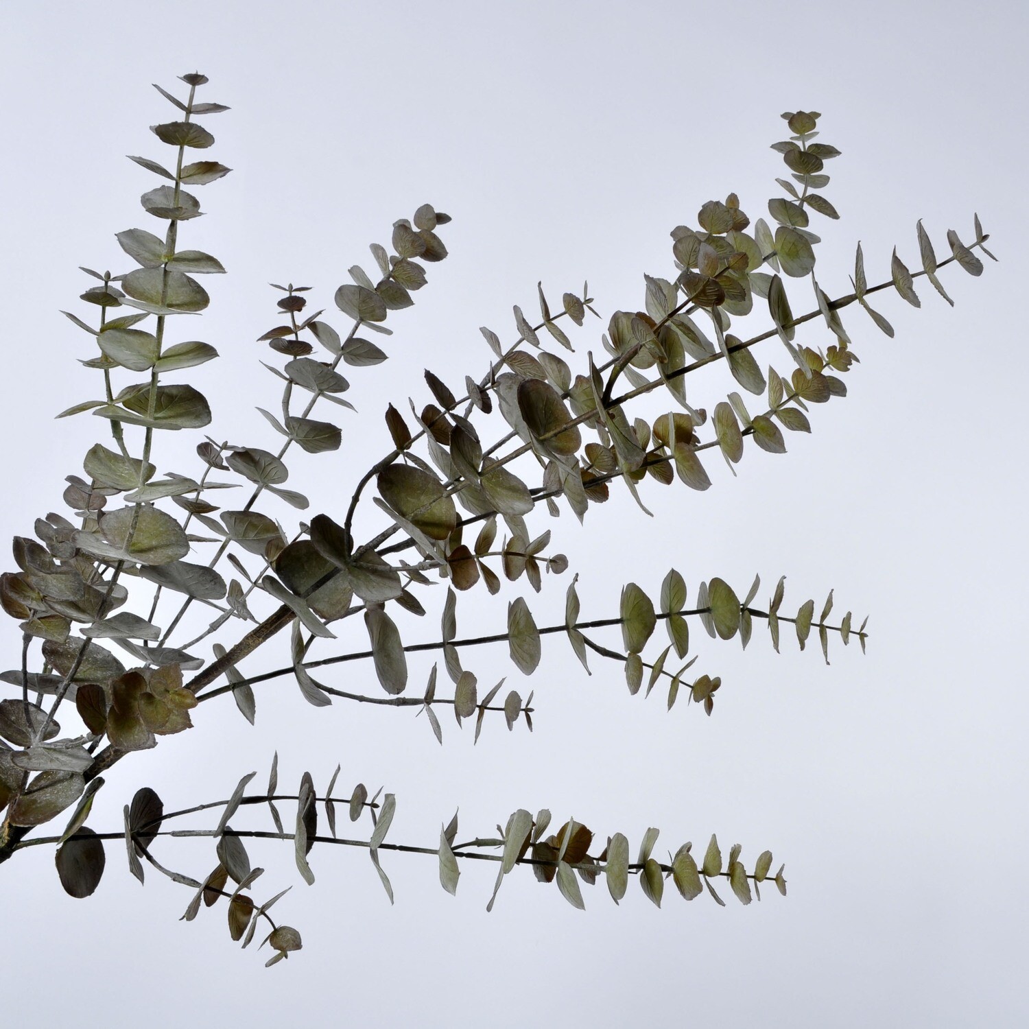 Eukalyptus Kunstblume M