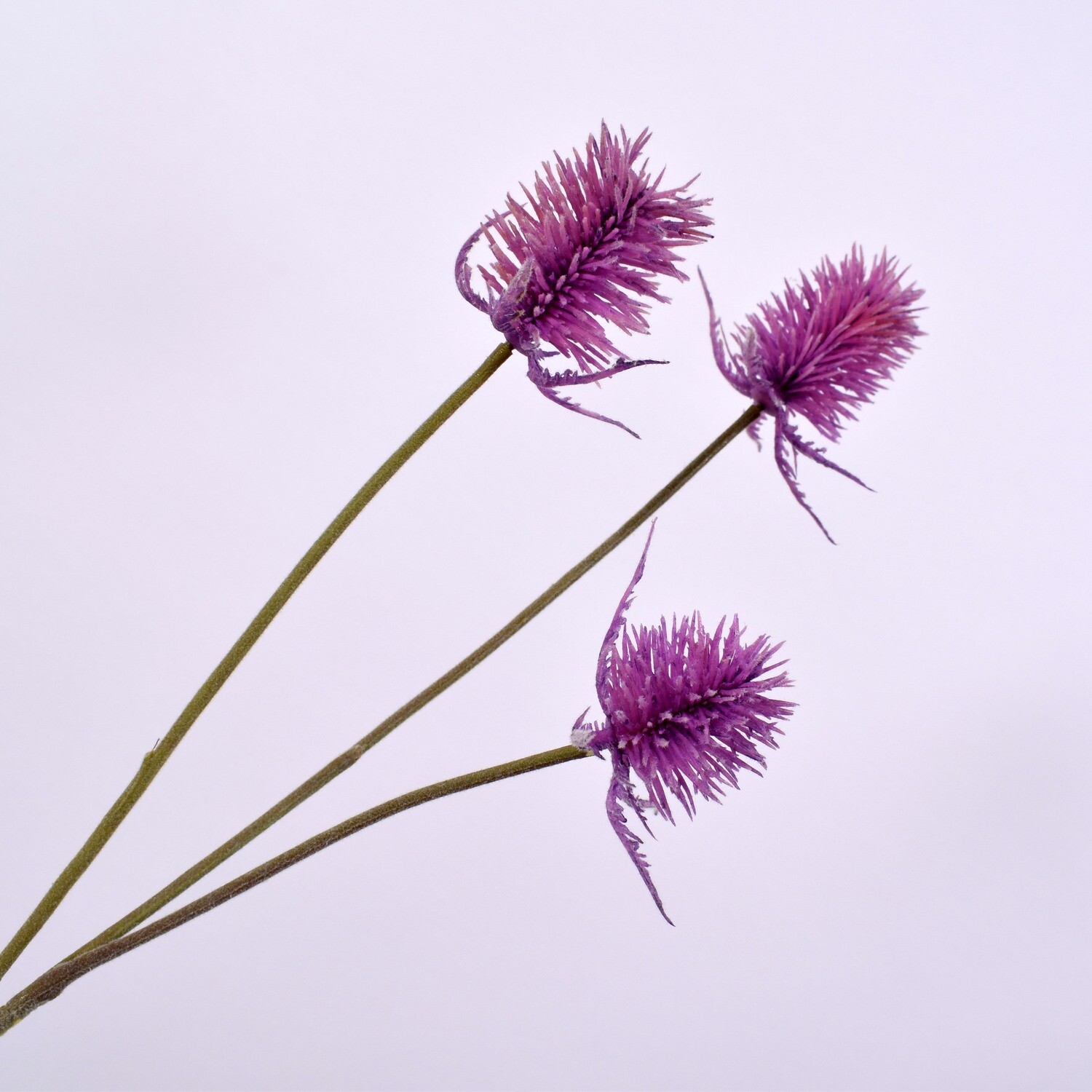 Distel Kunstblume